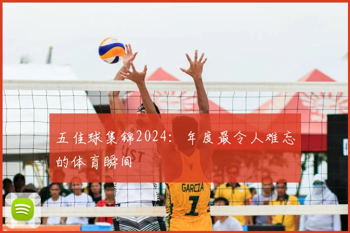 五佳球集锦2024:年度最令人难忘的体育瞬间